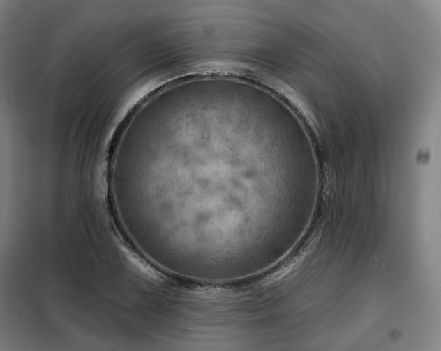 X0000098071075200804041119