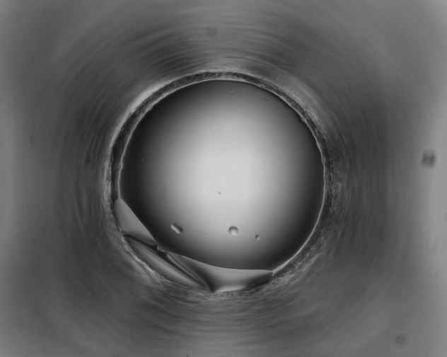 X0000098071076200804041119