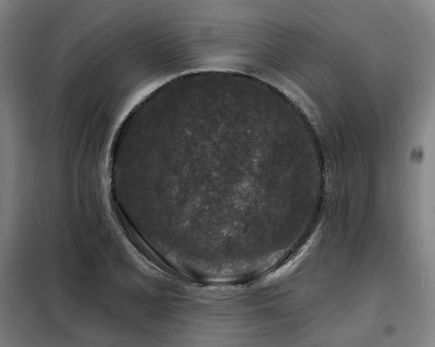 X0000098071077200804041119