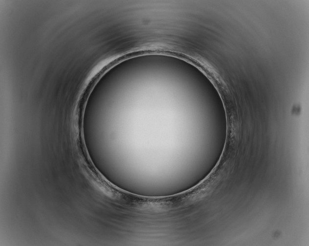 X0000098071078200804041119