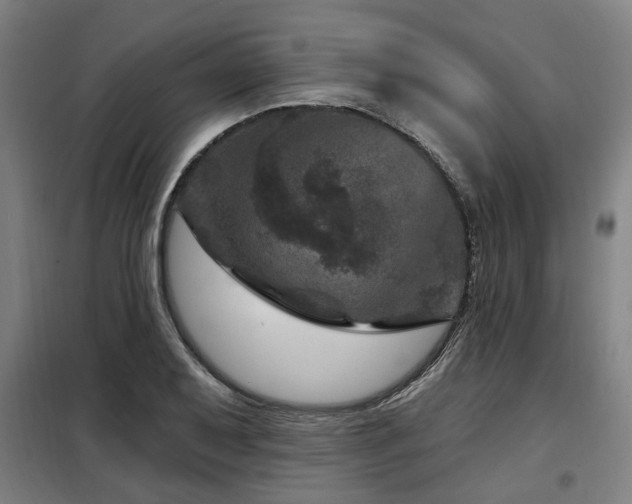 X0000098071079200804041119