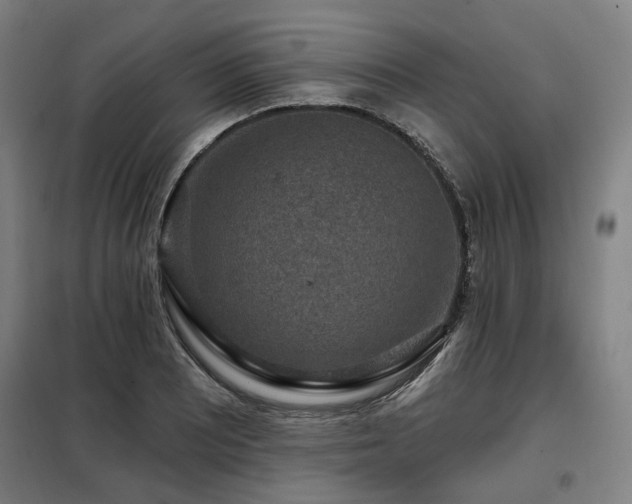 X0000098071081200804041119