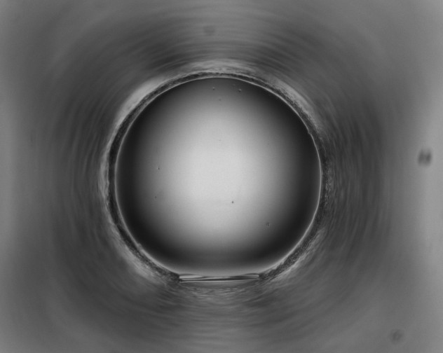 X0000098071082200804041119