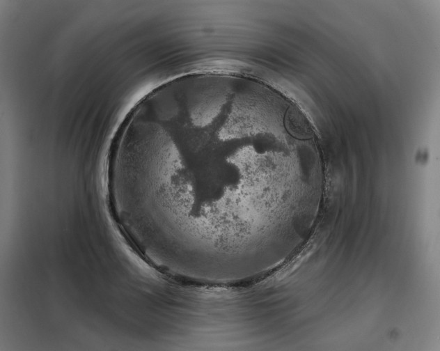 X0000098071083200804041119