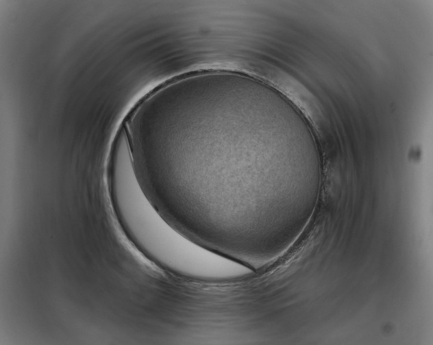 X0000098071084200804041119