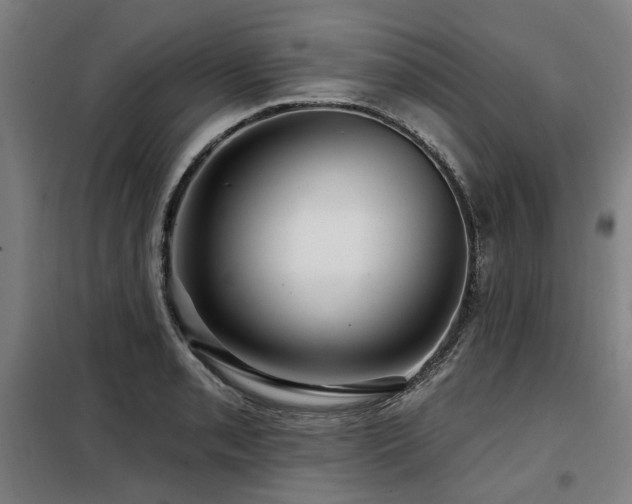 X0000098071085200804041119