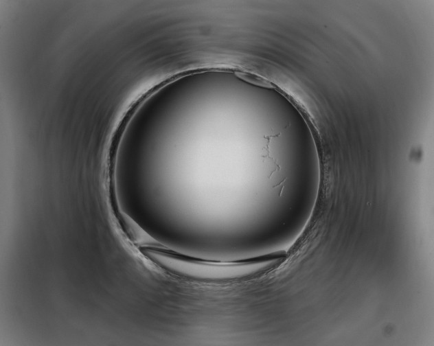 X0000098071088200804041119