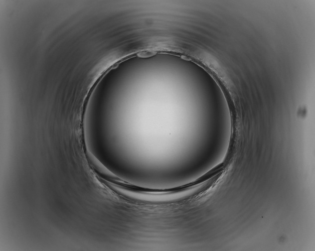 X0000098071089200804041119