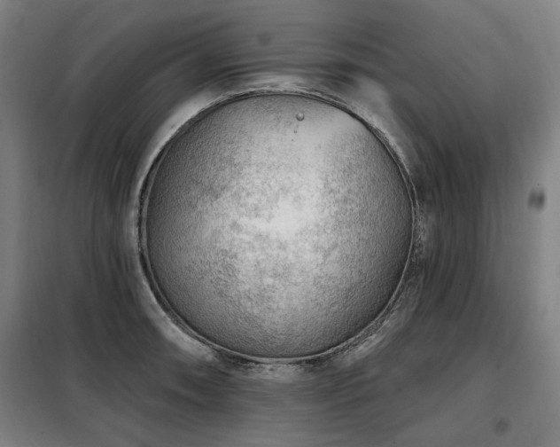 X0000098071090200804041119