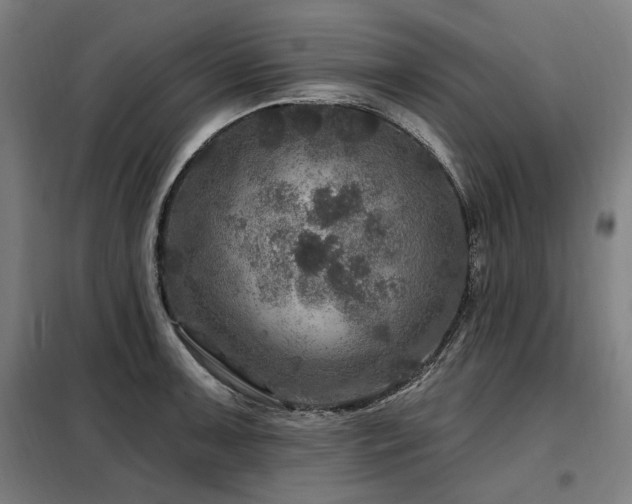 X0000098071091200804041119