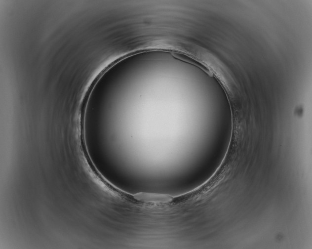 X0000098071092200804041119
