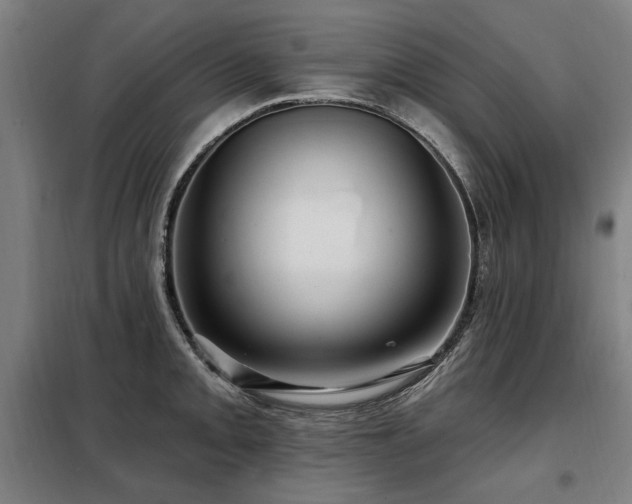 X0000098071093200804041119