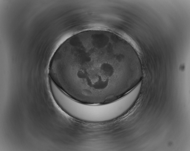 X0000098071095200804041119