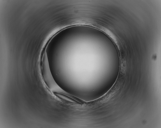 X0000098071096200804041119