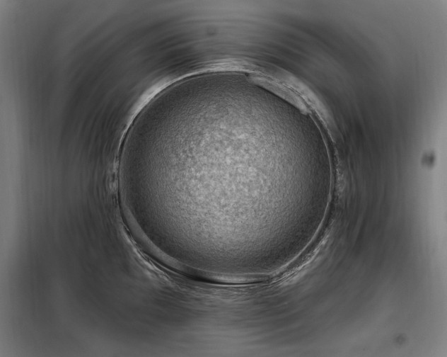 X0000098071097200804041119