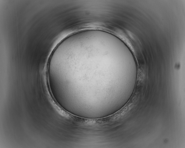 X0000098071098200804041119