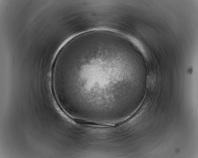 X0000098071100200804041119