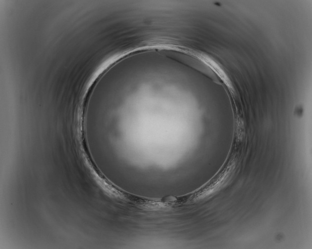 X0000098071101200804041119