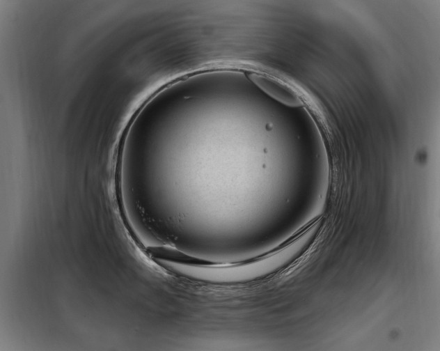 X0000098071102200804041119