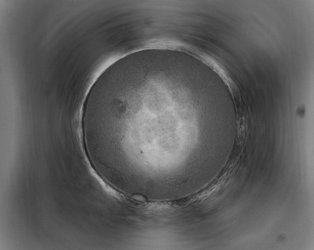 X0000098071103200804041119