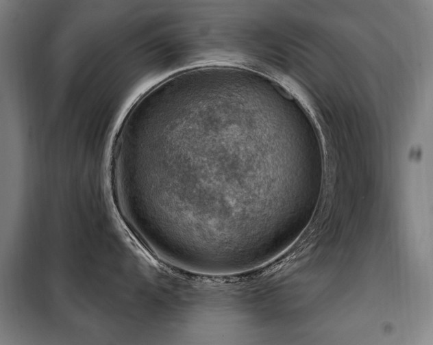 X0000098071104200804041119