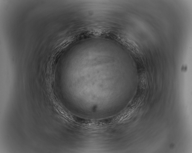 X0000098071105200804041118