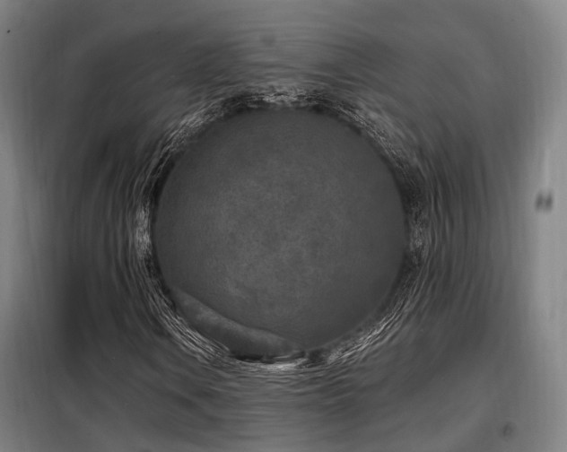 X0000098071106200804041118