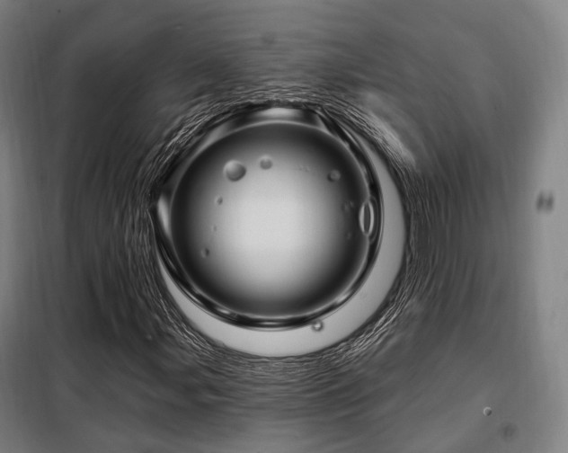 X0000098071107200804041118
