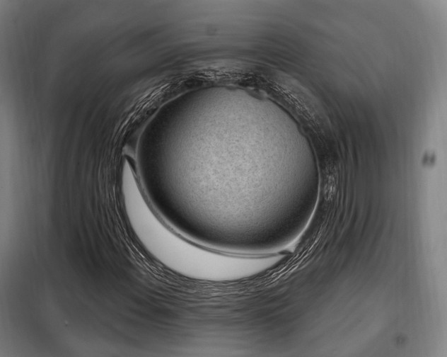 X0000098071108200804041118