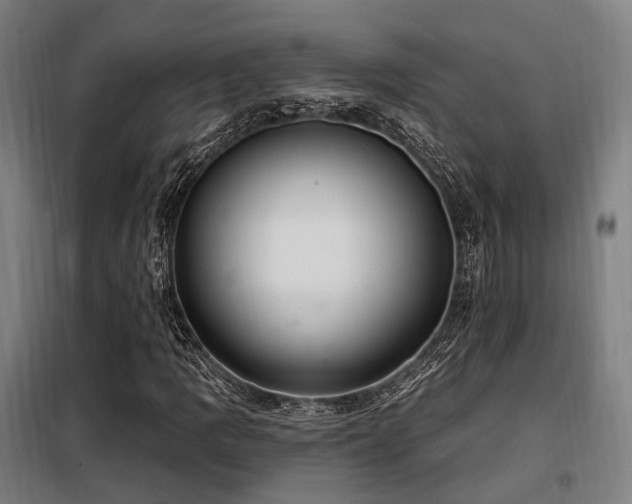 X0000098071109200804041118