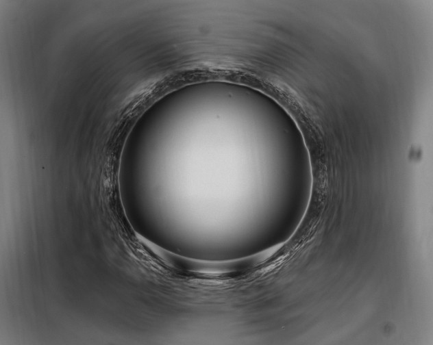 X0000098071110200804041118