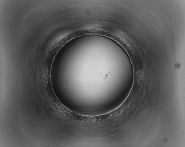 X0000098071111200804041118