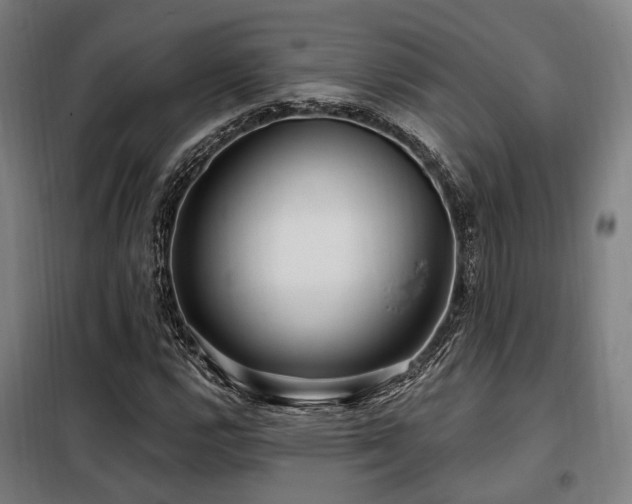 X0000098071112200804041118