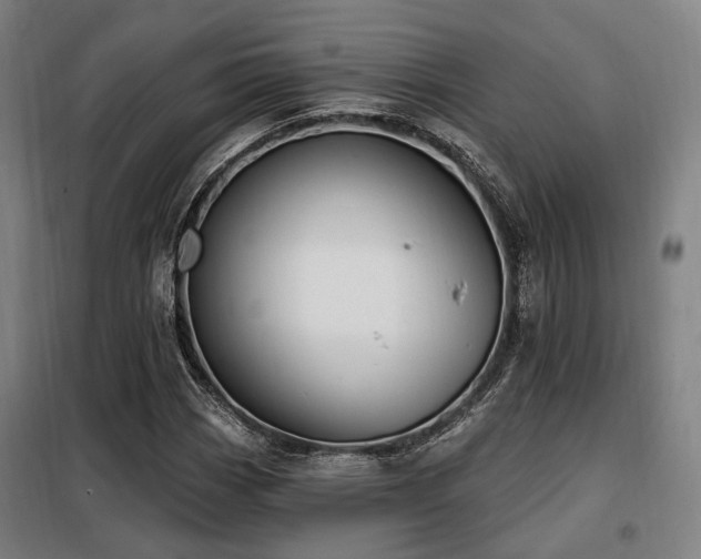 X0000098071113200804041118