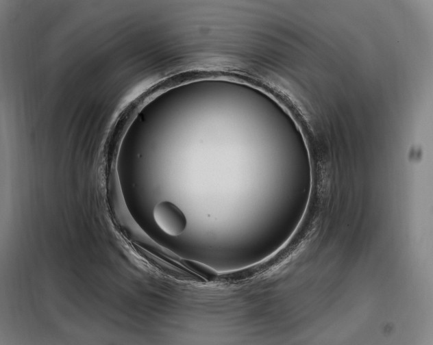 X0000098071114200804041118