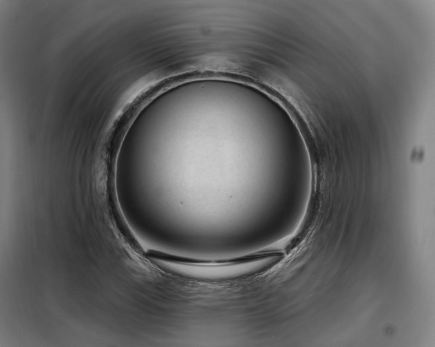 X0000098071115200804041118