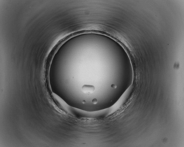 X0000098071116200804041118