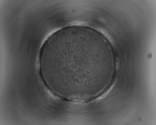 X0000098071117200804041118