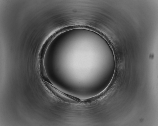 X0000098071118200804041119