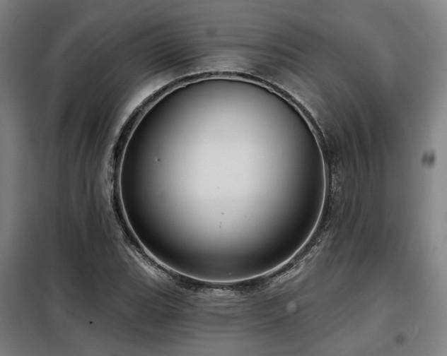 X0000098071119200804041119