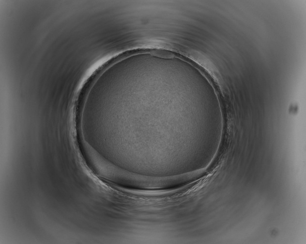 X0000098071120200804041119