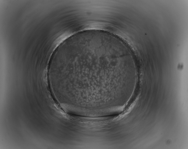X0000098071121200804041119