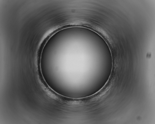 X0000098071122200804041119