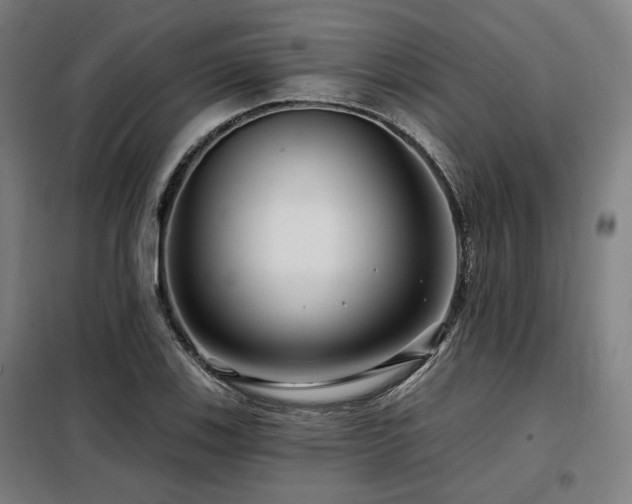 X0000098071123200804041119