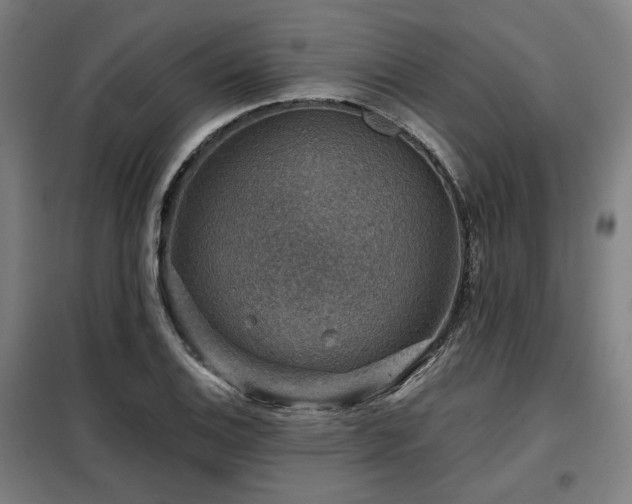 X0000098071124200804041119