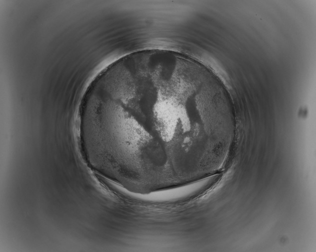 X0000098071125200804041119