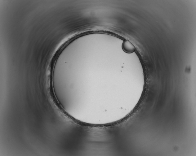 X0000098071126200804041119