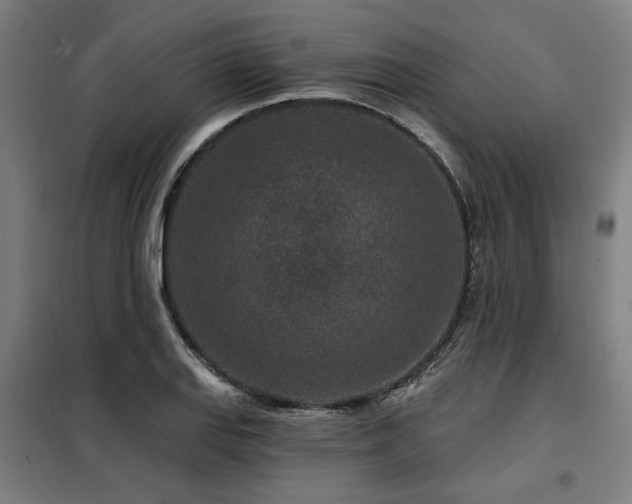 X0000098071127200804041119