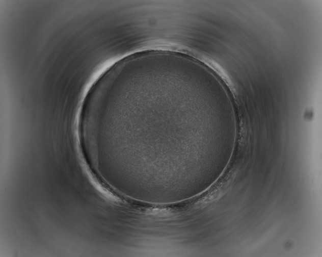 X0000098071128200804041119