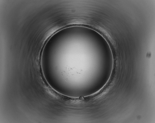 X0000098071129200804041119